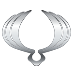 سانگ یانگ صفر و کارکرده