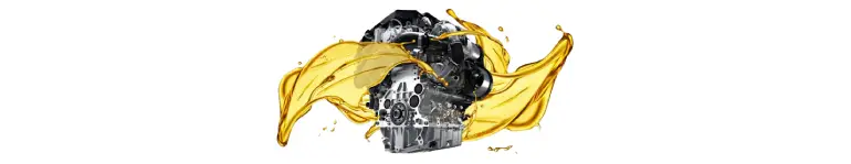 car care 10